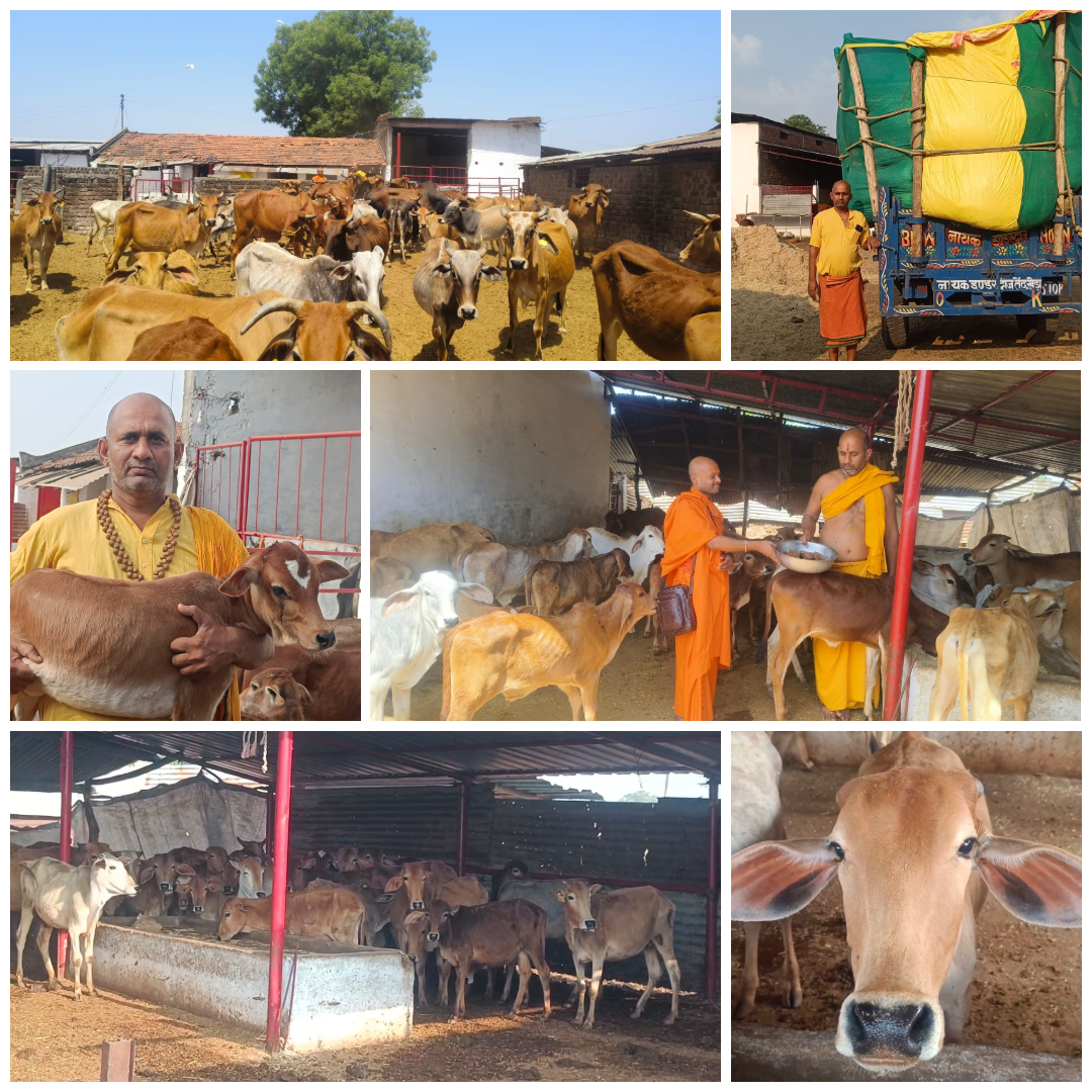 गौशाला का इतिहास