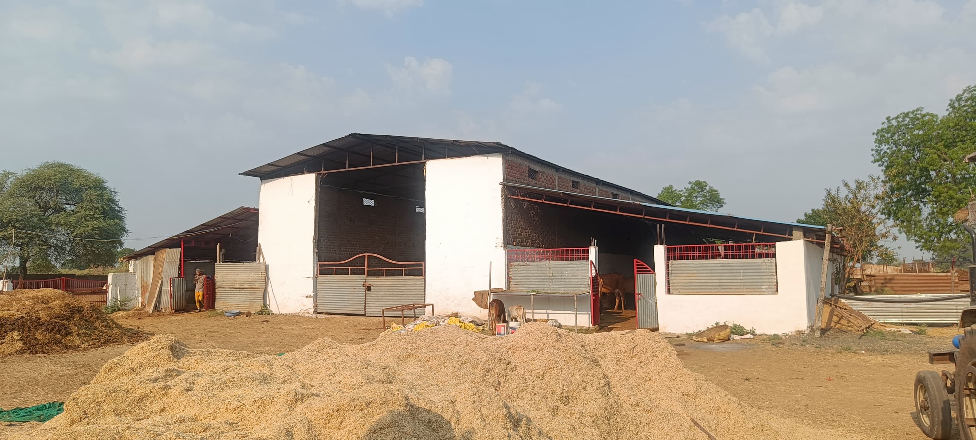 गौशाला