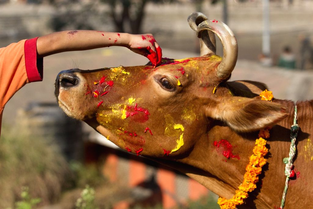जन्मदिन पूजा